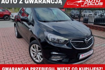 1.4 benz.115 KM Crossover Belgia Mały przebieg121 tyś Serwis Gwarancja
